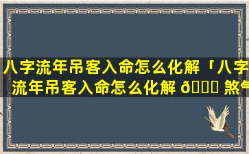 八字流年吊客入命怎么化解「八字流年吊客入命怎么化解 🐒 煞气」